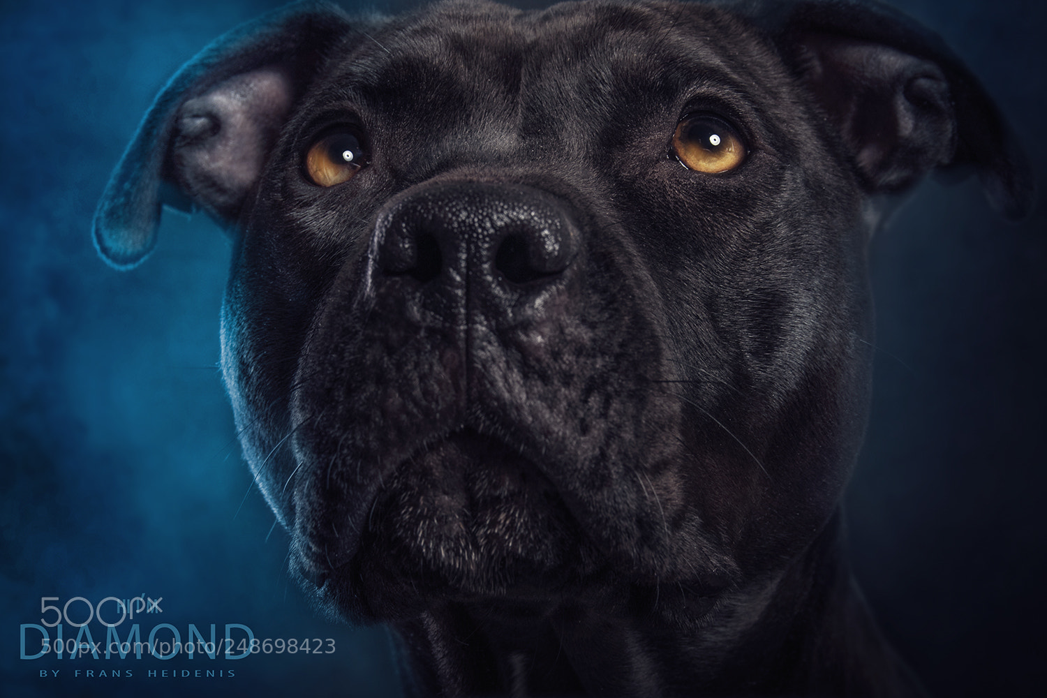 Pentax K-3 sample photo. Diamond photography