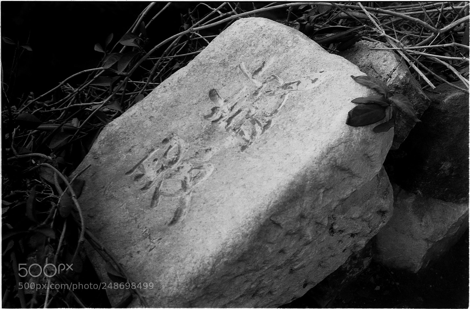 Nikon D200 sample photo. Zorki-4 photography