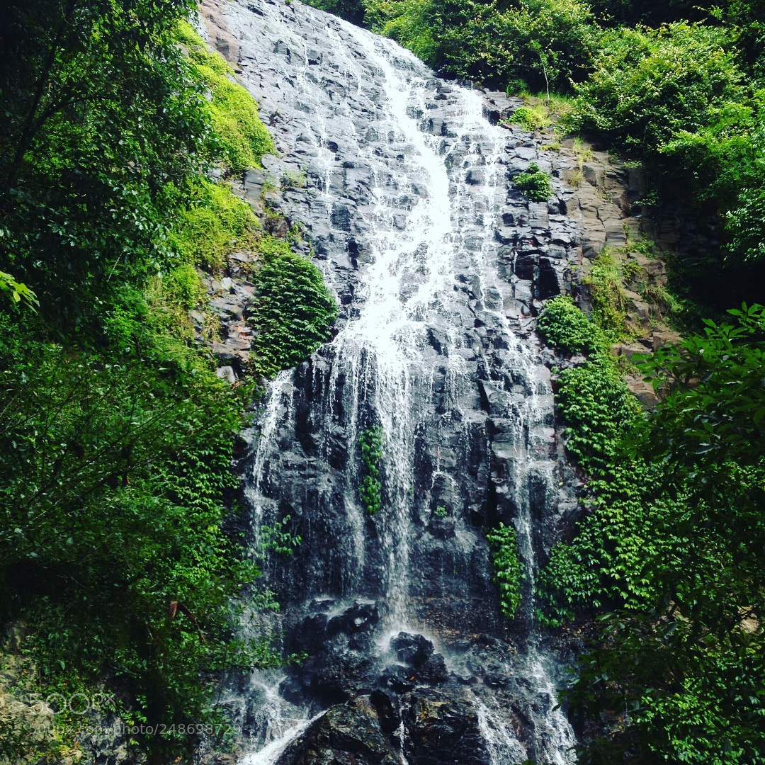 Apple iPhone 5 sample photo. Dorrigo australia photography
