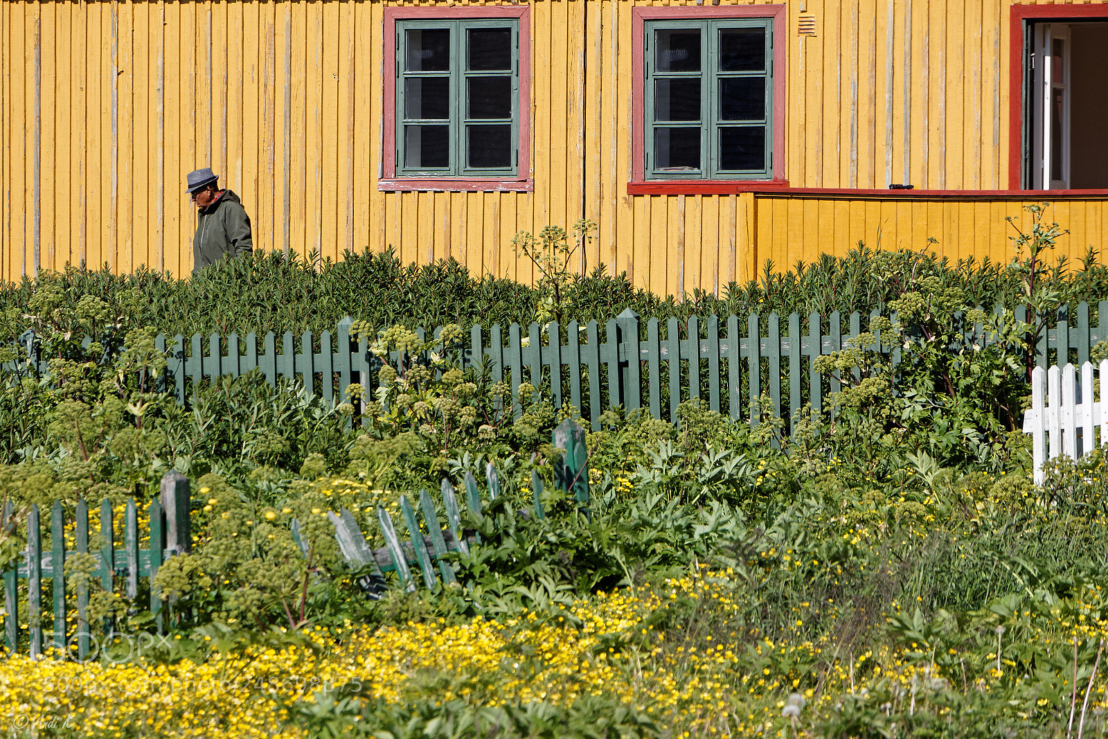 Canon EOS 700D (EOS Rebel T5i / EOS Kiss X7i) sample photo. Nuuk, greenland photography