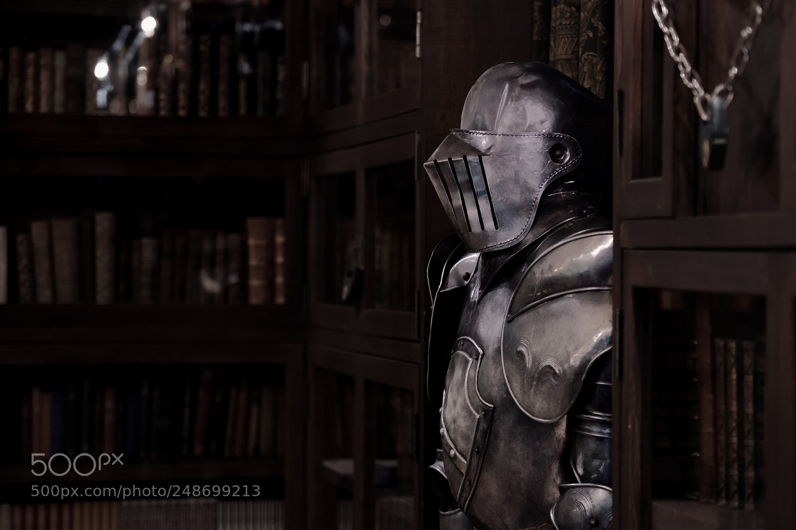 Fujifilm X-T2 sample photo. Armor with a study photography