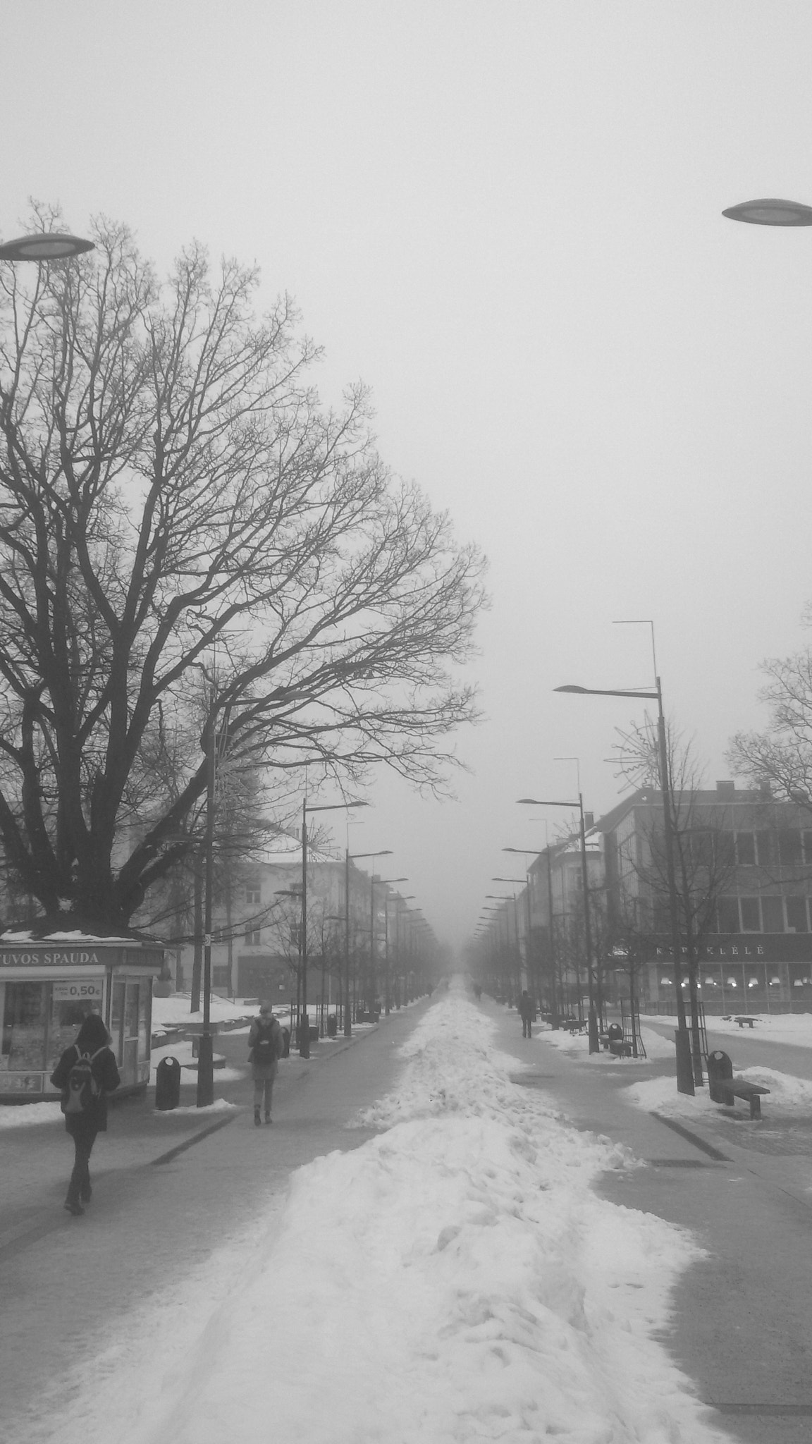 Samsung Galaxy S3 Neo sample photo. Foggy morning in siauliai photography