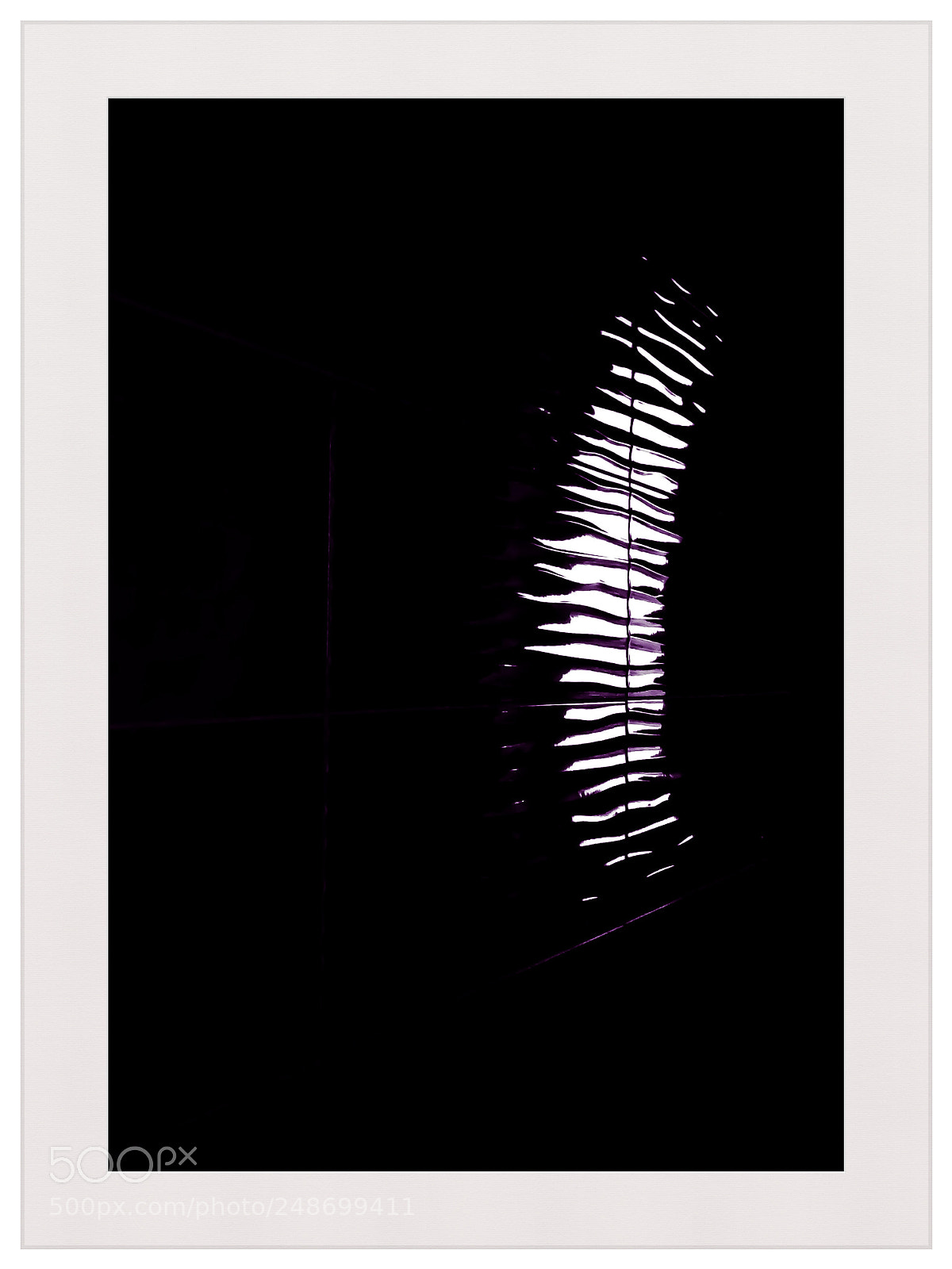 Apple iPhone X sample photo. Spine photography