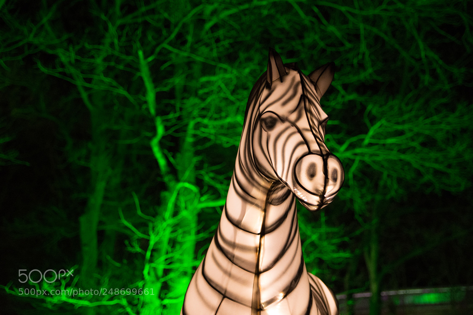 Nikon D7200 sample photo. Burgers zoo arnhem light photography