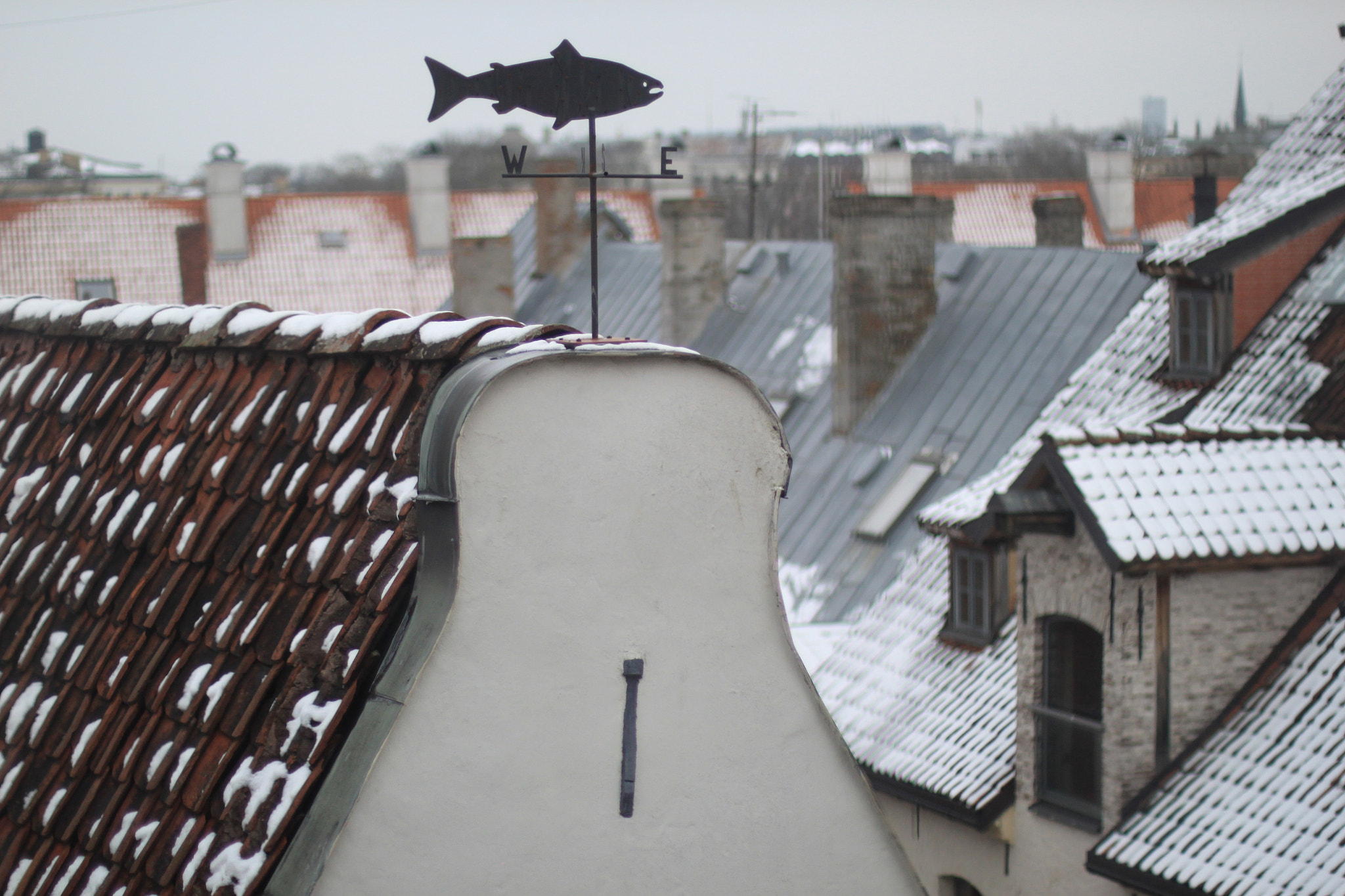 Canon EOS 500D (EOS Rebel T1i / EOS Kiss X3) sample photo. Roofs photography