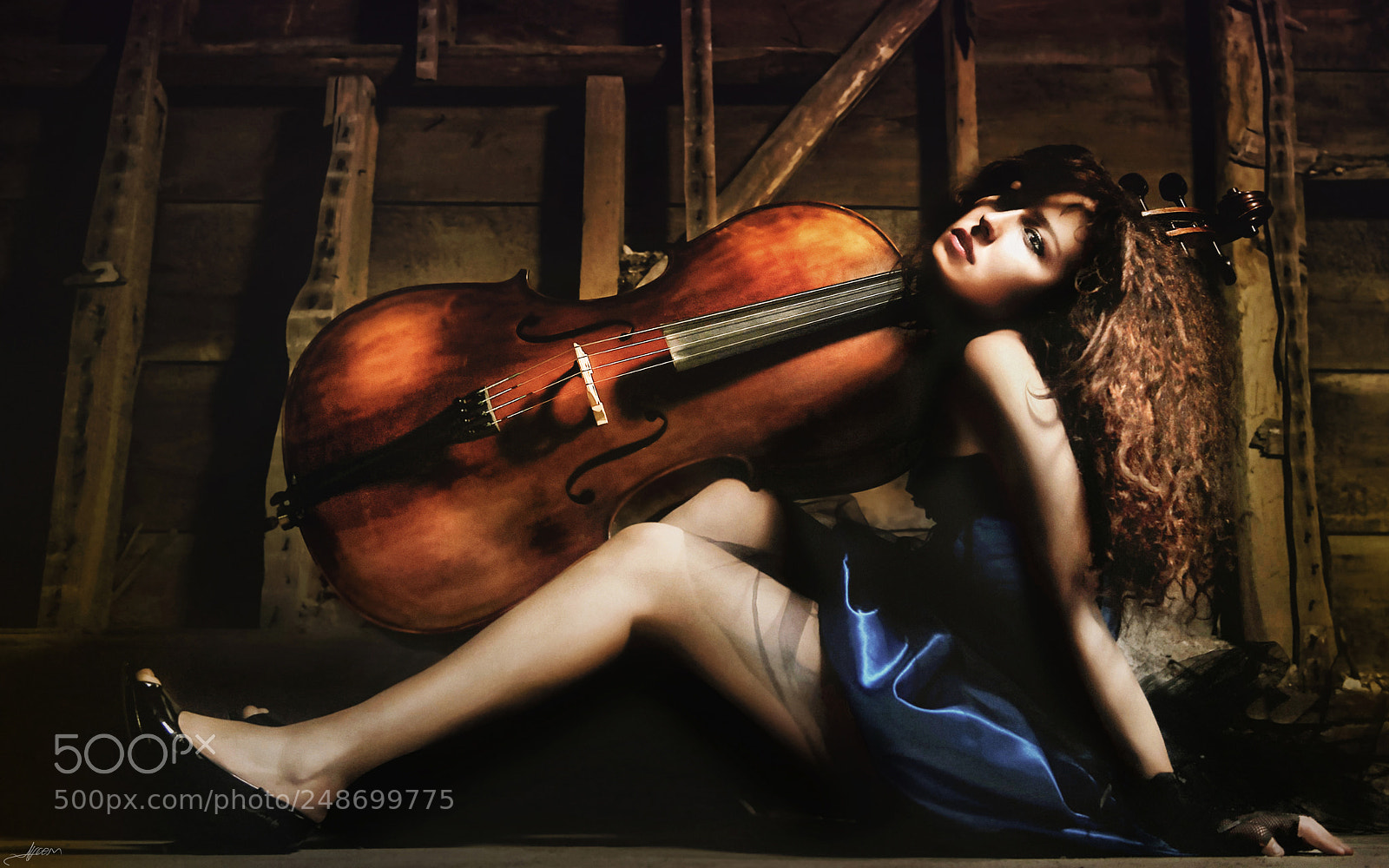 Nikon D3S sample photo. With her cello photography