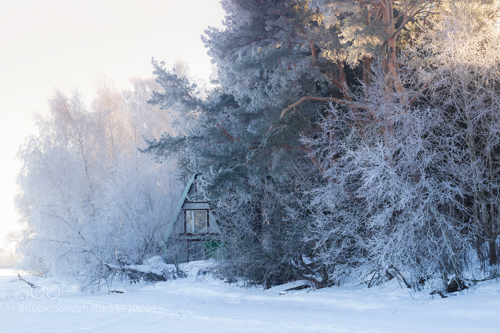 Canon EOS 600D (Rebel EOS T3i / EOS Kiss X5) sample photo. Covered with cold photography
