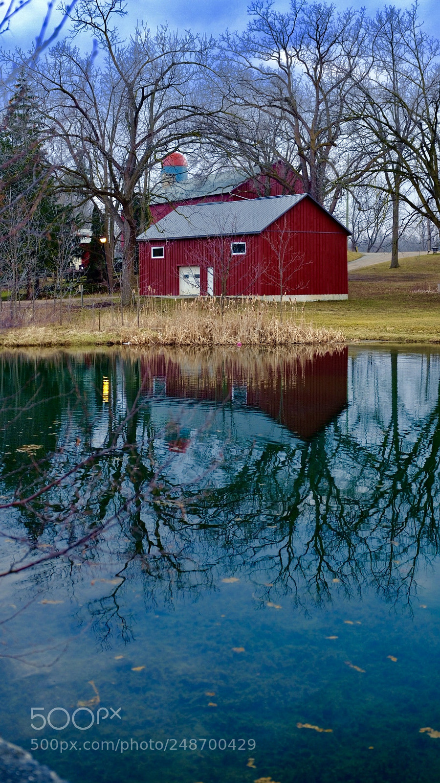 Fujifilm GFX 50S sample photo. Spring of kelso lake photography
