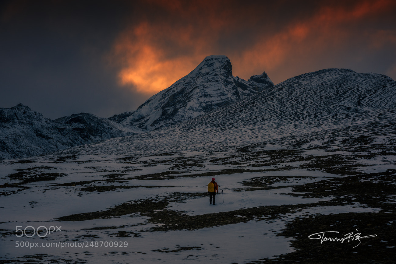 Nikon D810 sample photo. Lonely walker photography