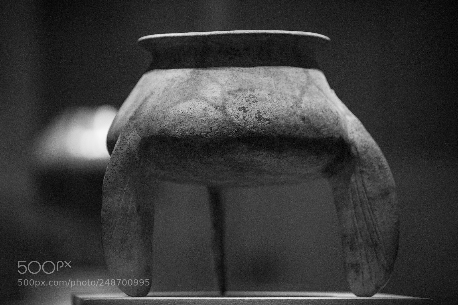 Canon EOS-1Ds Mark III sample photo. Untitled photography