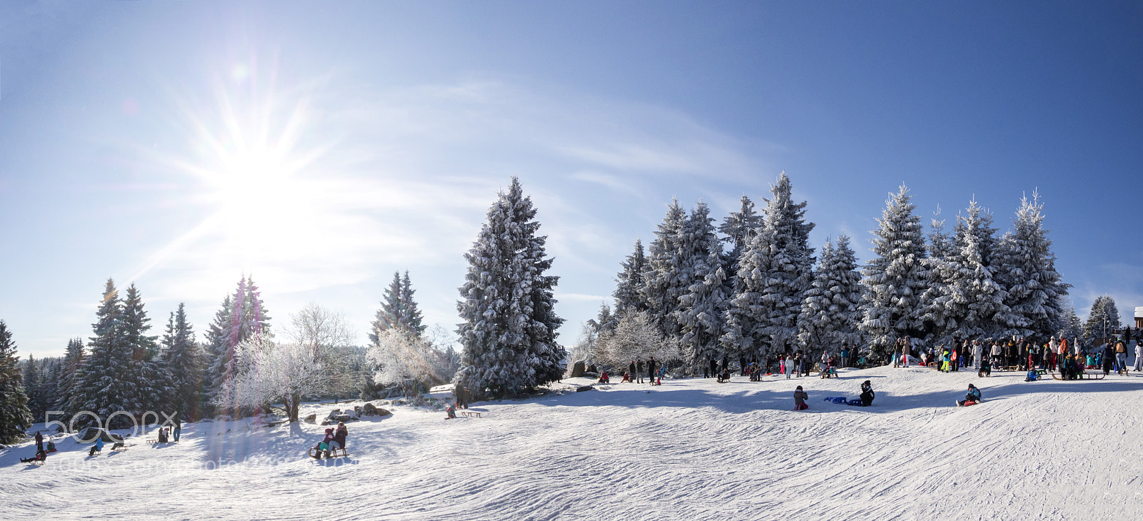 Olympus OM-D E-M10 II sample photo. Rodelpano harz photography