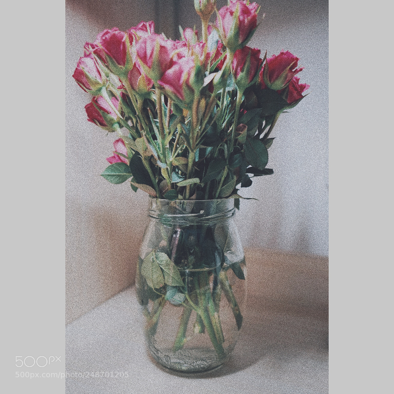 Sony a7 II sample photo. Untitled photography
