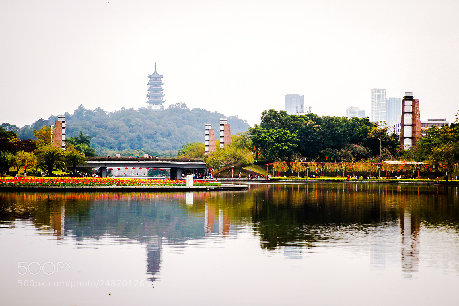 Canon EOS-1D Mark IV sample photo. Untitled photography