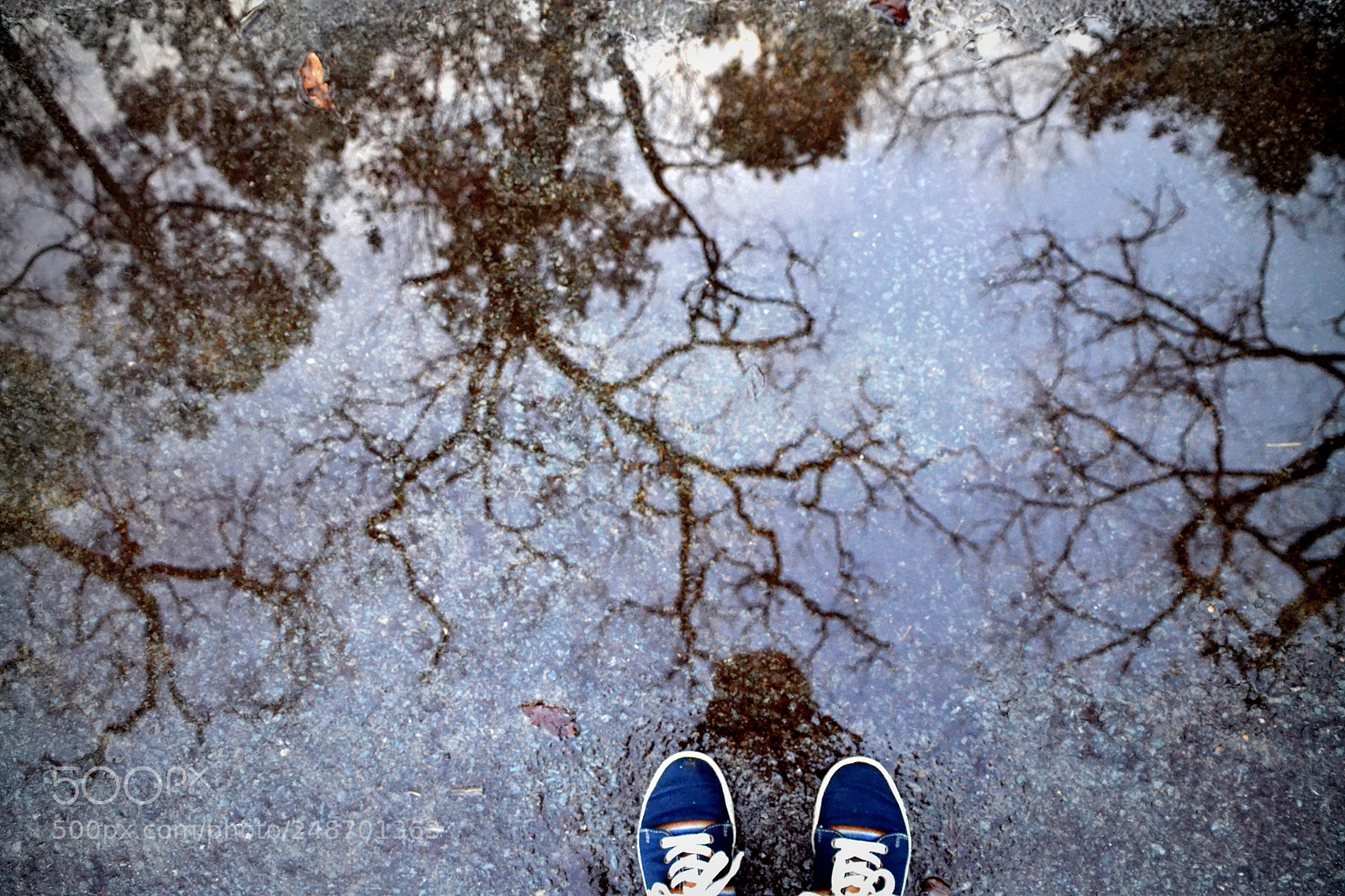 Nikon D3100 sample photo. Walk in the sky photography