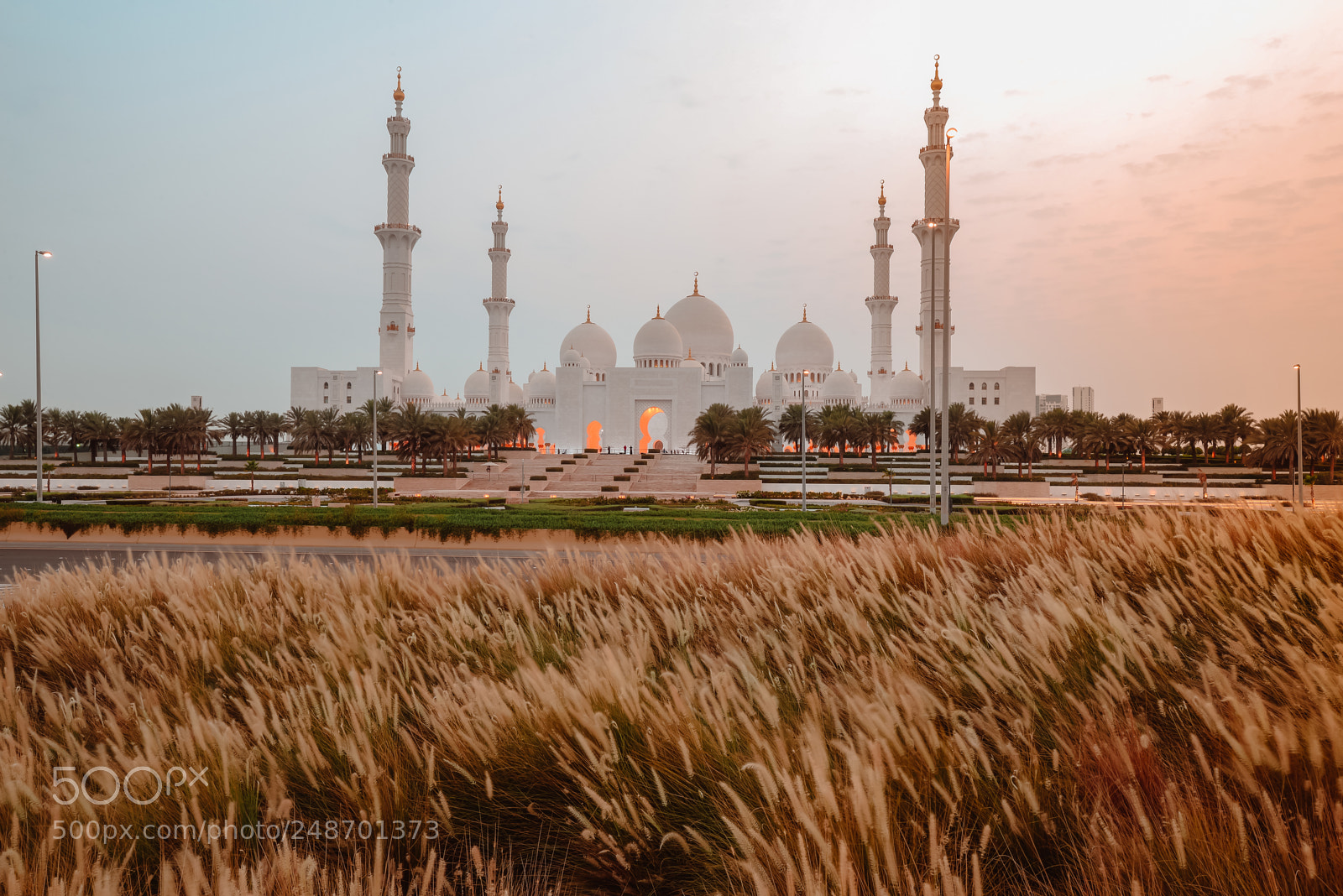 Nikon D610 sample photo. Sheikh zayed grand mosque photography