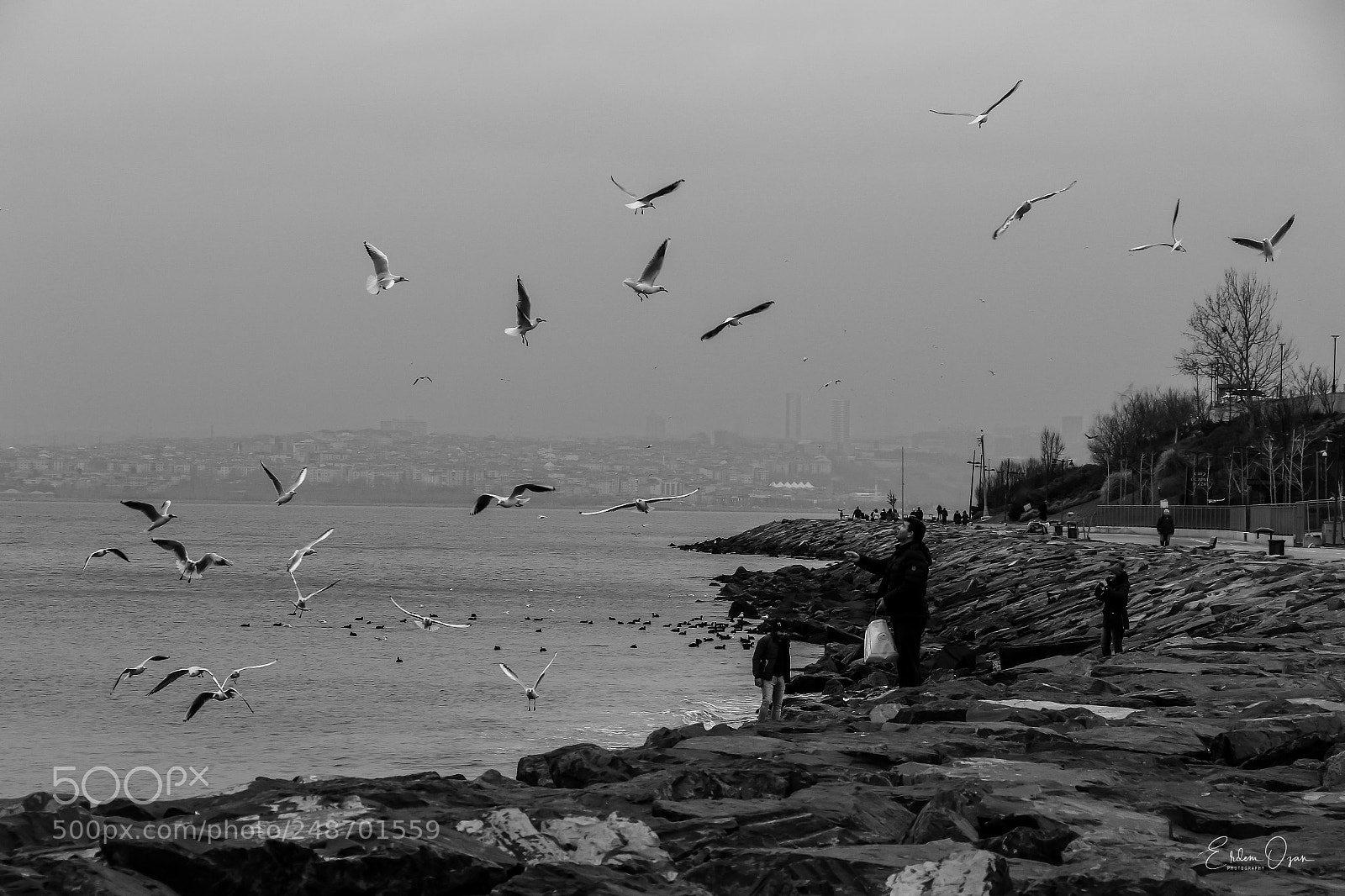 Canon EOS 7D Mark II sample photo. Peace photography