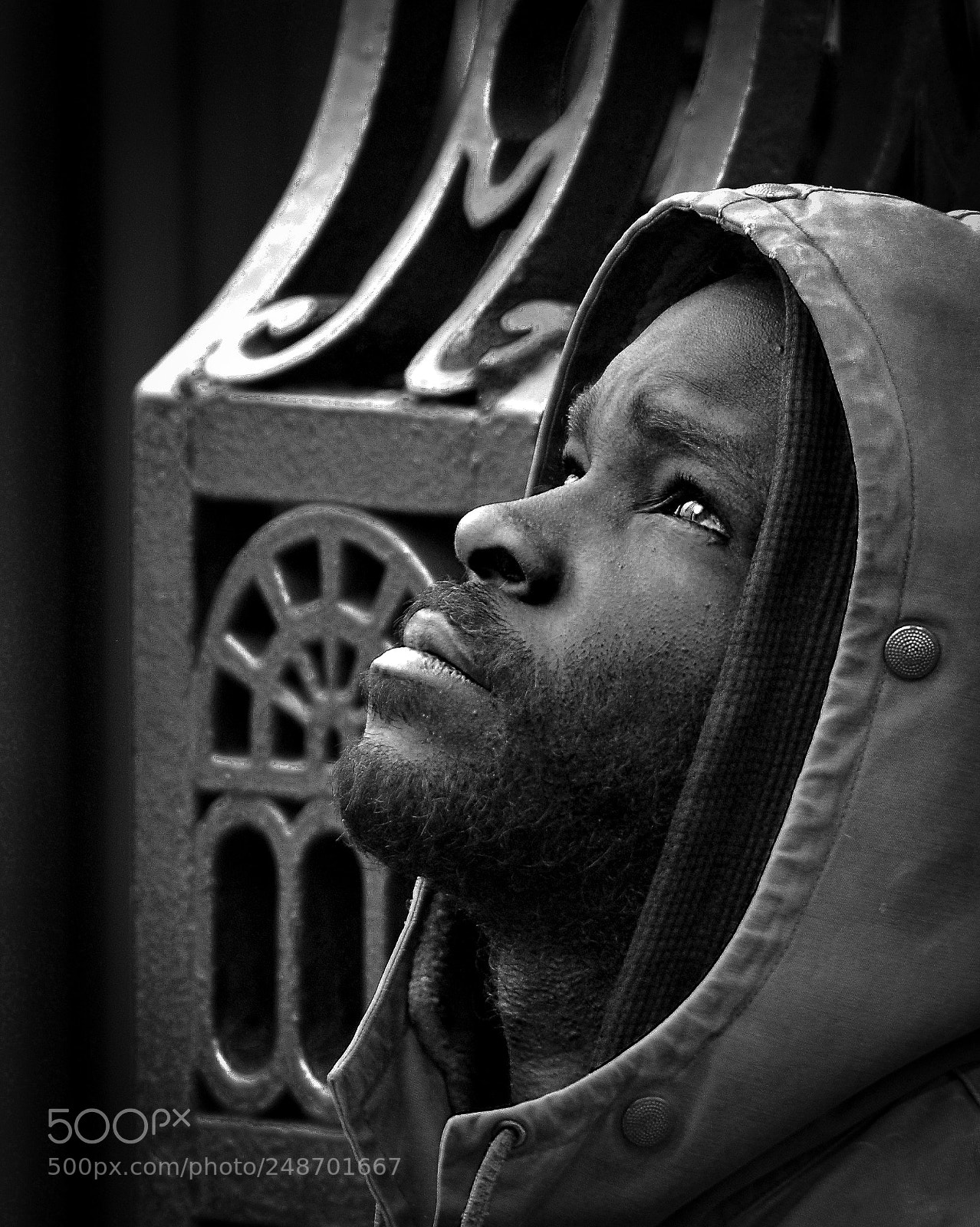 Nikon D80 sample photo. Desperation photography