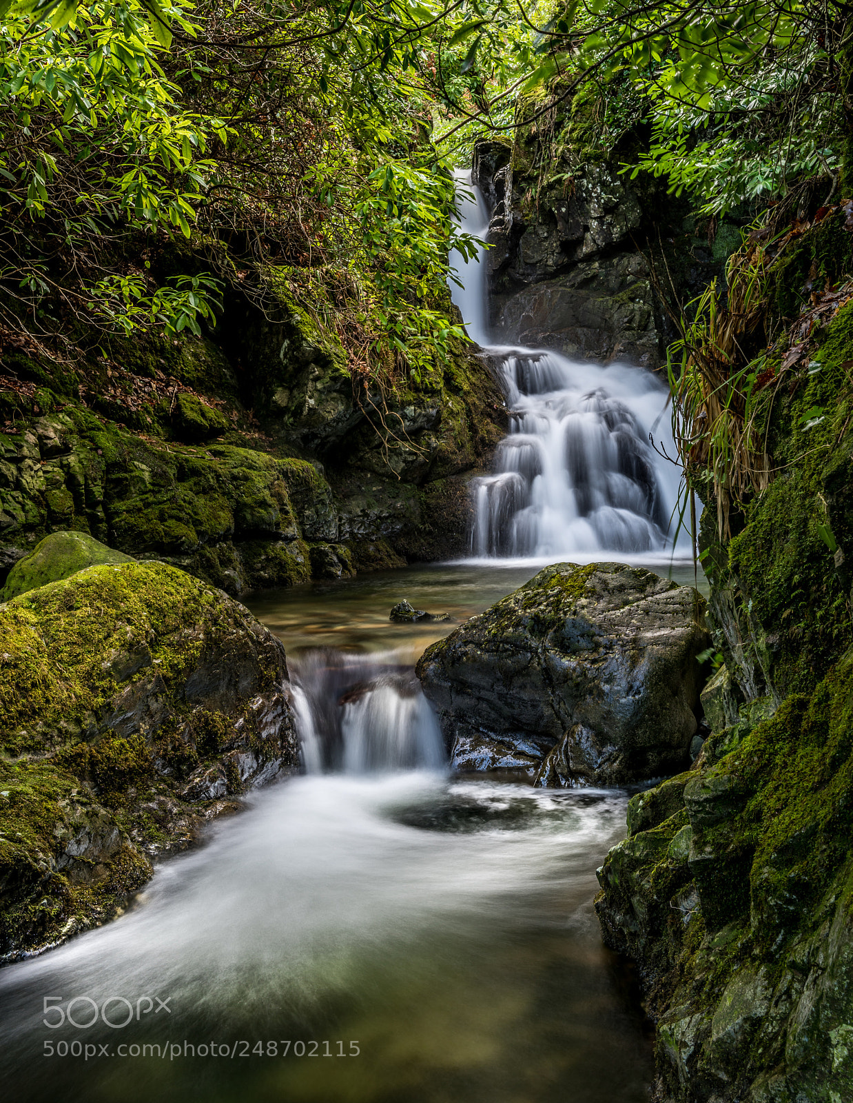 Nikon D810 sample photo. Cascade photography