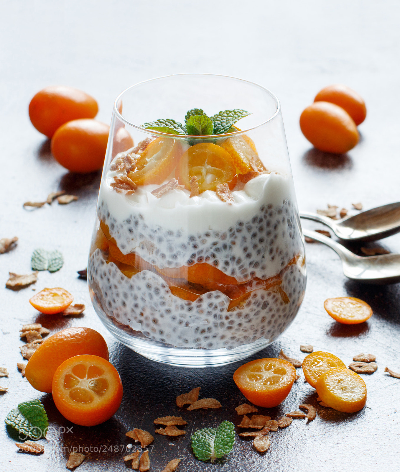 Canon EOS 650D (EOS Rebel T4i / EOS Kiss X6i) sample photo. Chia pudding parfait with photography