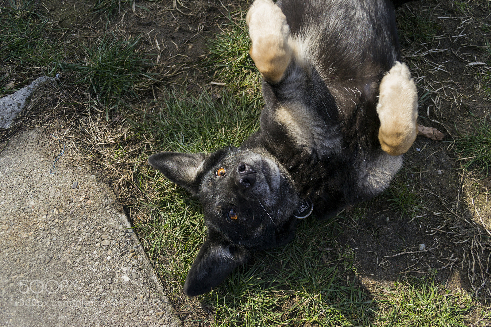 Nikon D3100 sample photo. Let's lay here all photography