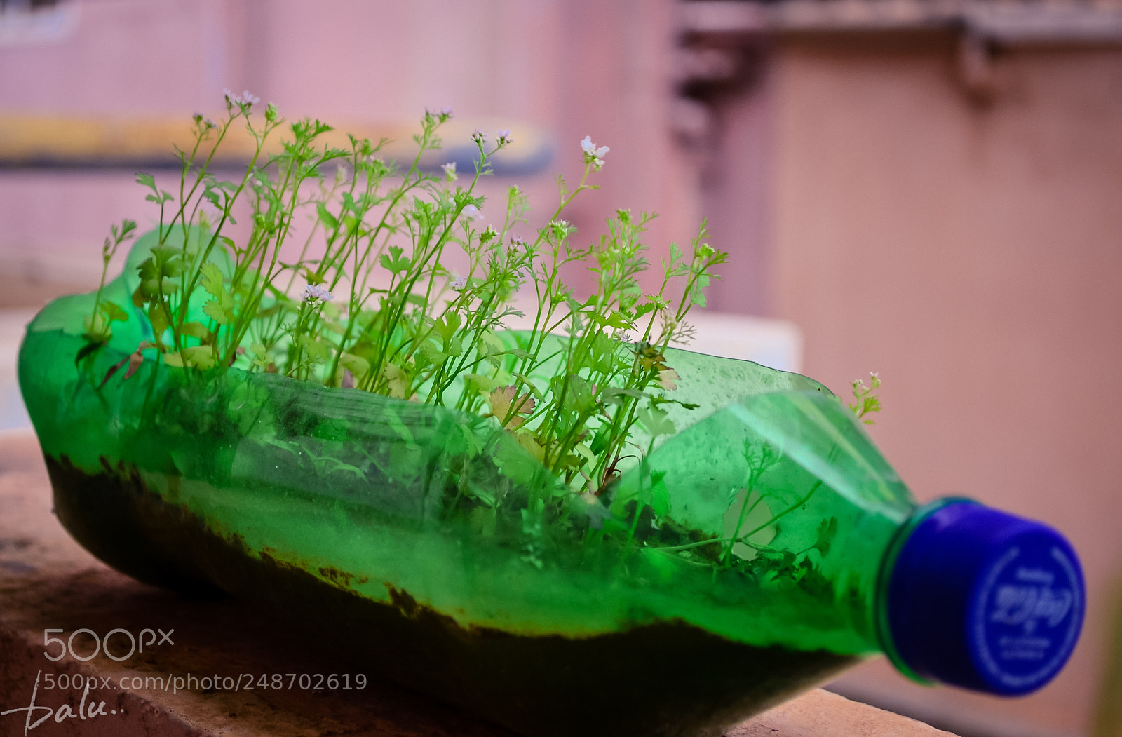 Nikon D5100 sample photo. Eco boat photography
