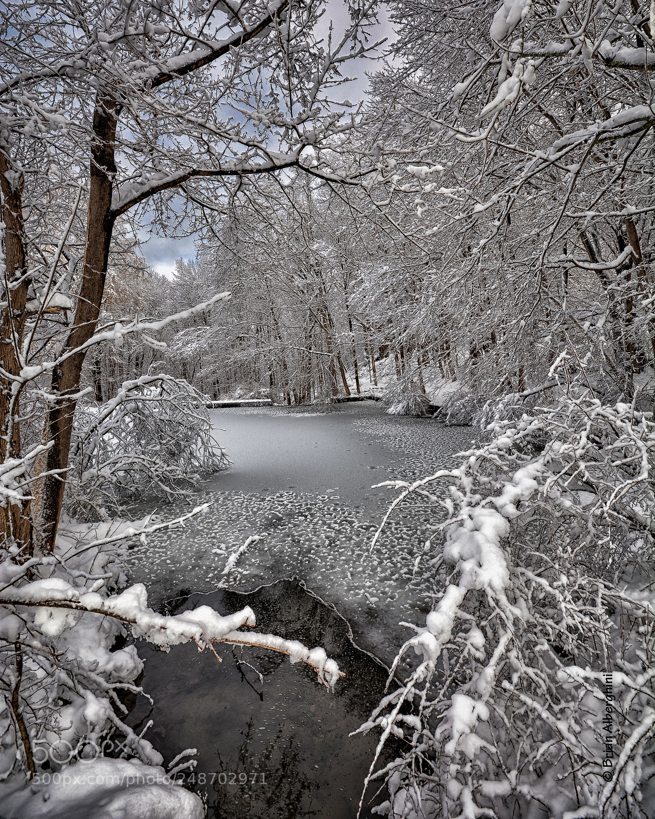 Nikon D7100 sample photo. The old farm pond photography