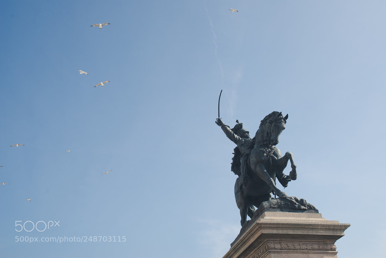 Nikon D610 sample photo. Venice statue photography