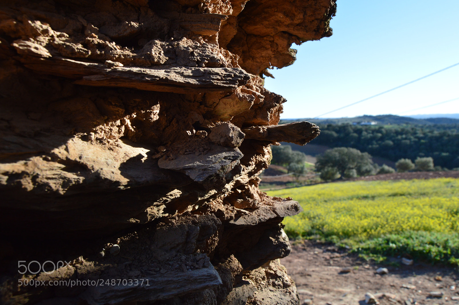 Nikon D3200 sample photo. Xisto photography