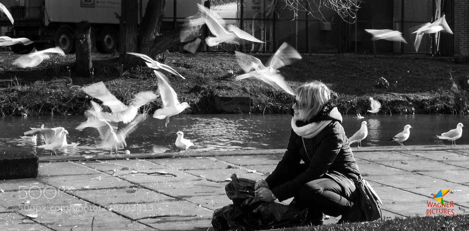 Fujifilm X-T2 sample photo. Bird swi r l photography