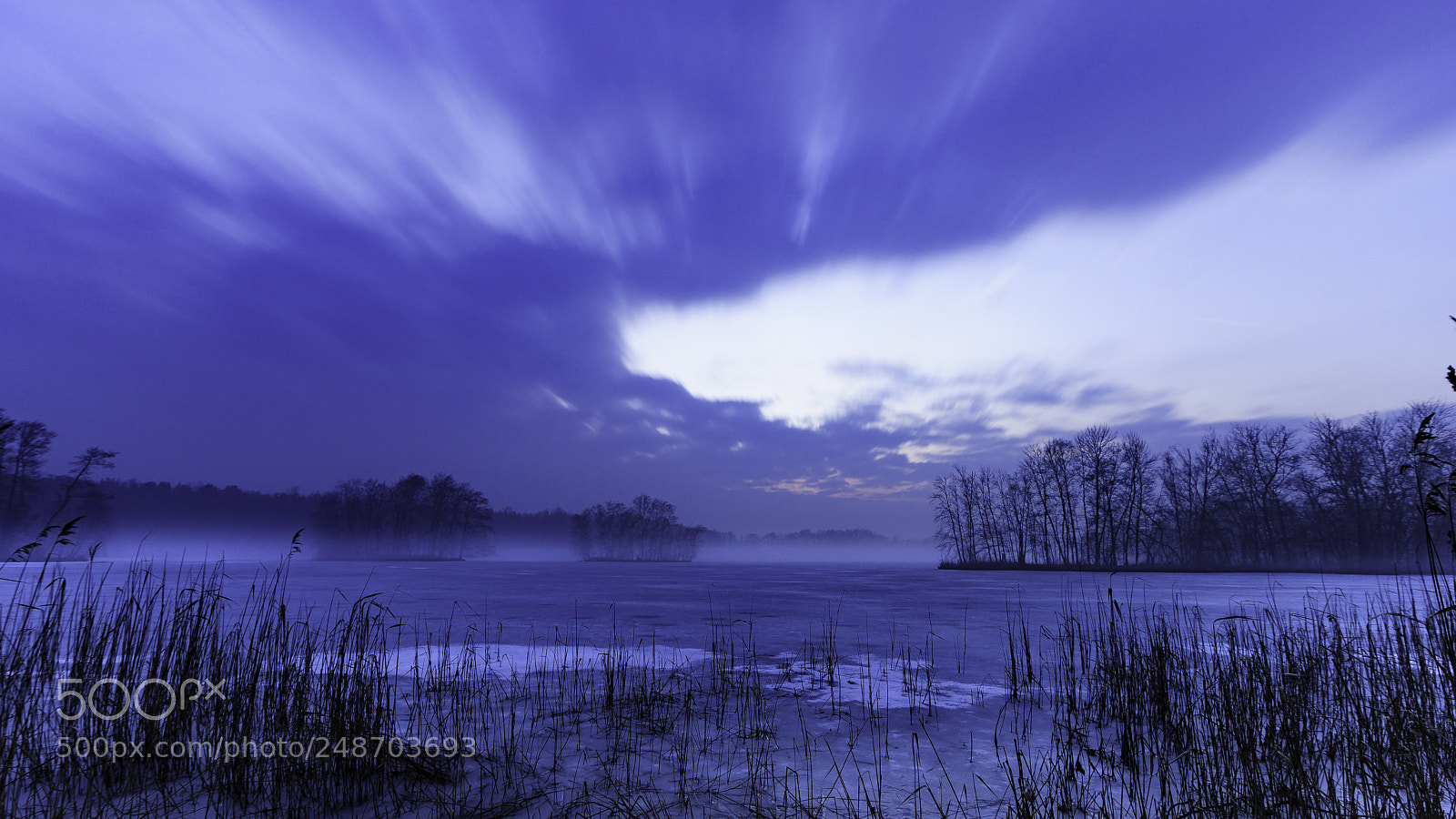 Sony a7 II sample photo. Winter fog photography