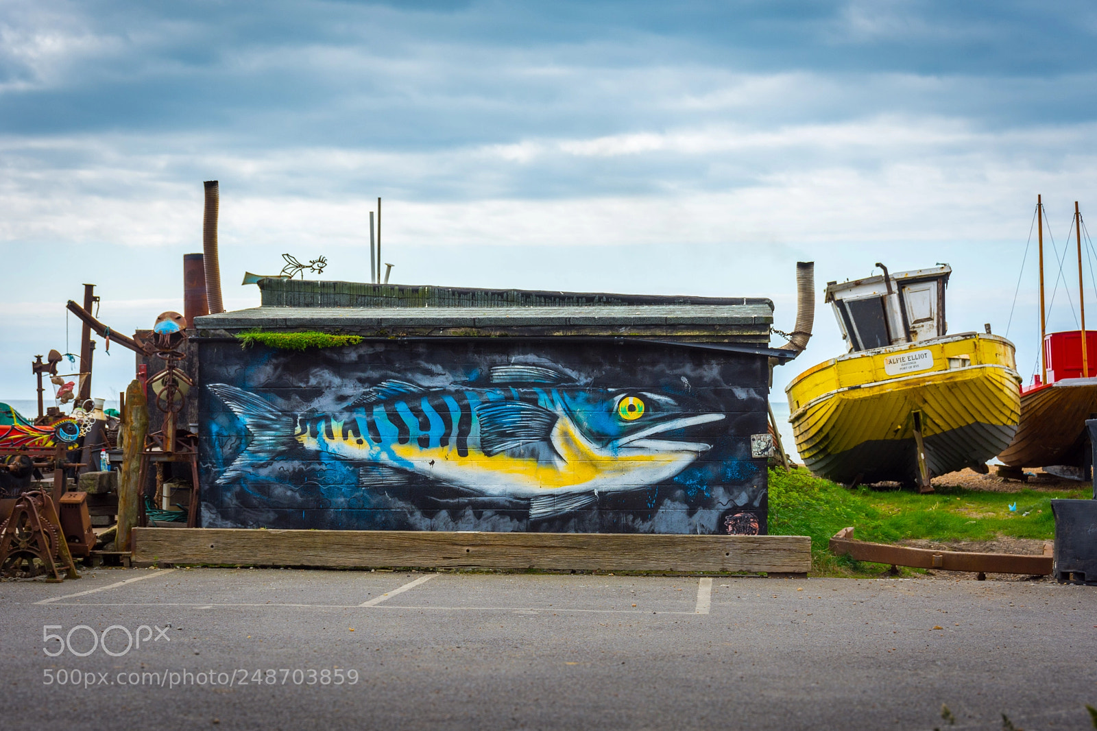 Nikon D7200 sample photo. Fish & ships photography