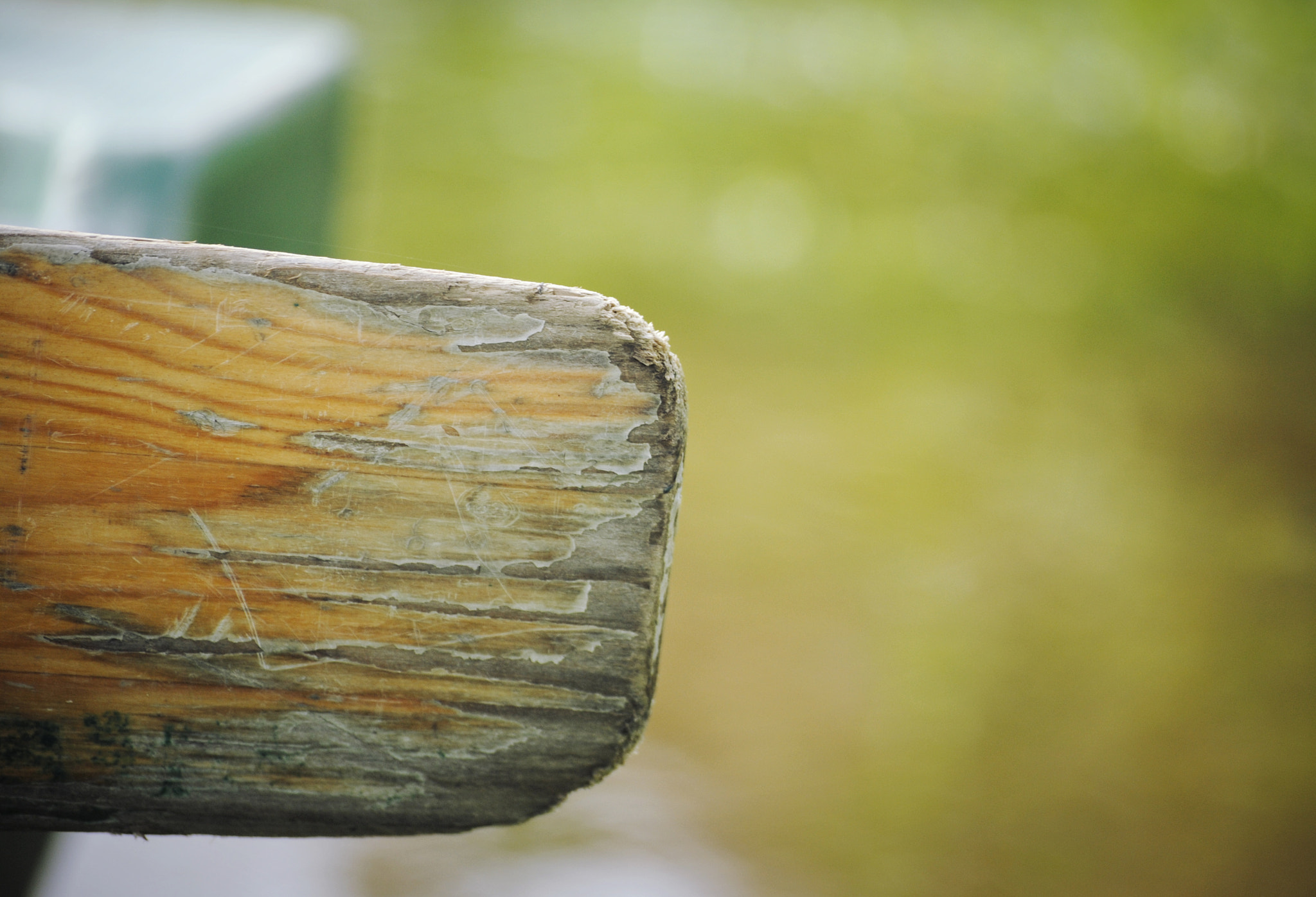 Nikon D3000 sample photo. Boat ride, ll photography