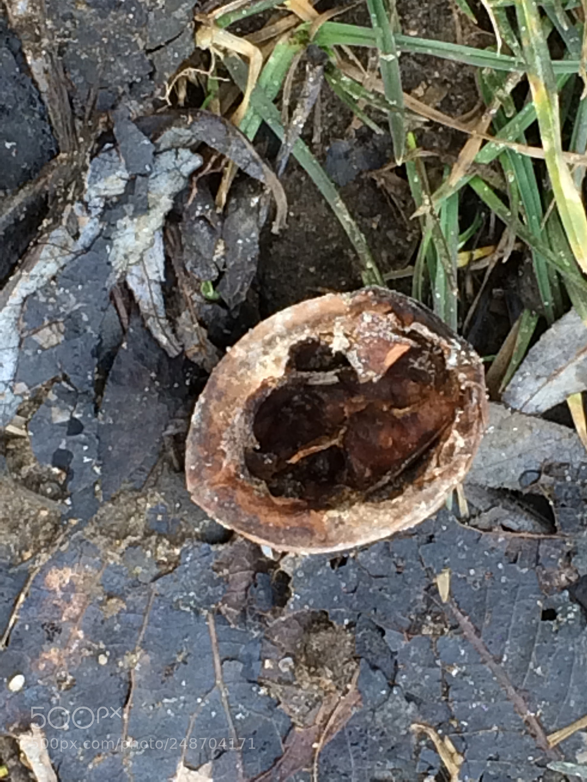 Apple iPhone 5s sample photo. Untitled photography