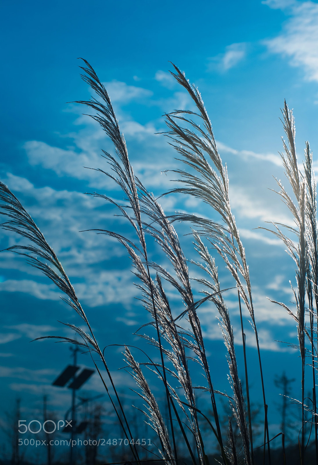 Nikon D810 sample photo. Twilight暮色 photography