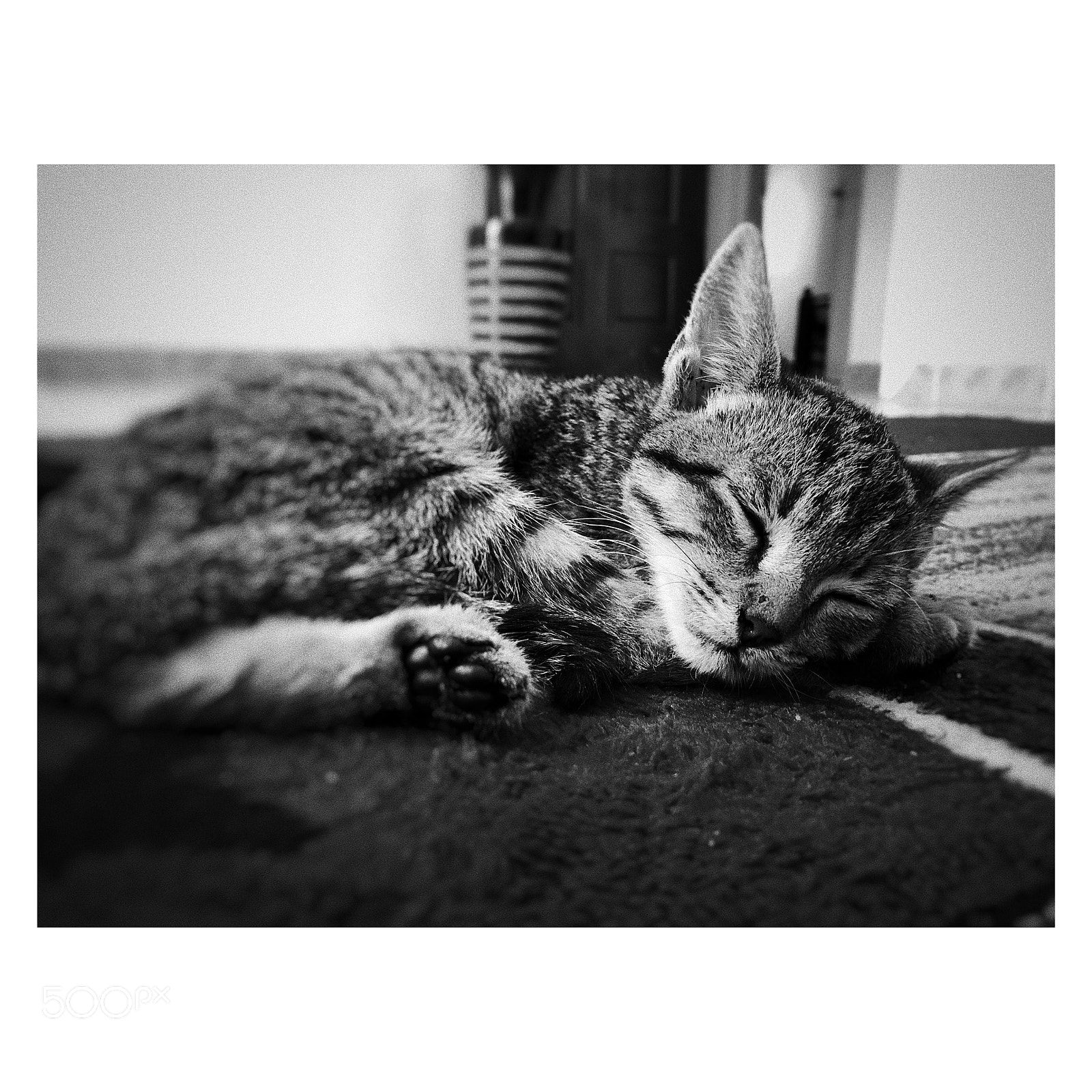 Apple iPhone 8 sample photo. Untitled photography
