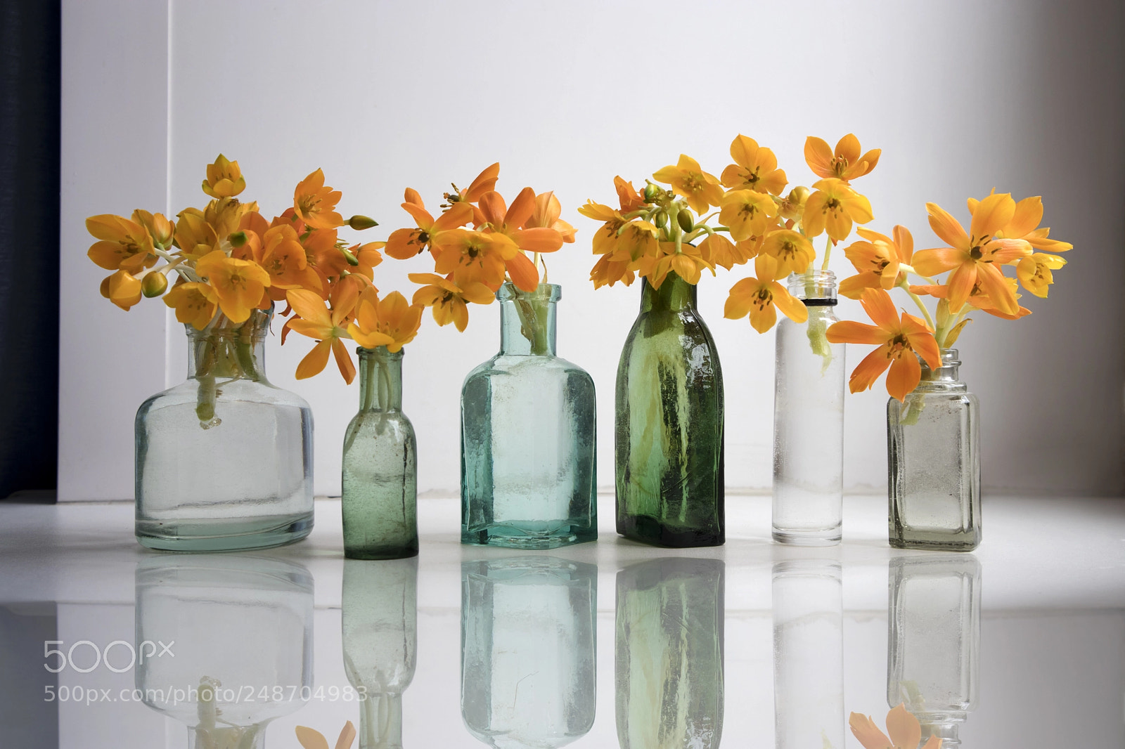 Canon EOS M5 sample photo. The blooming yellow ornithogalum photography