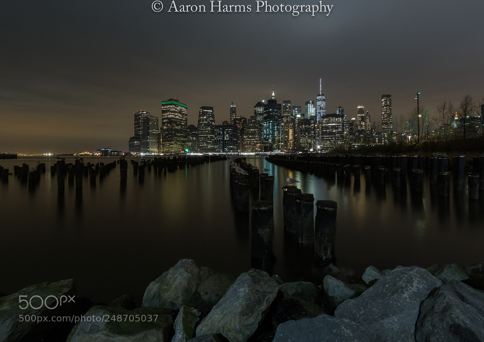 Canon EOS 60D sample photo. Dumbo new york photography