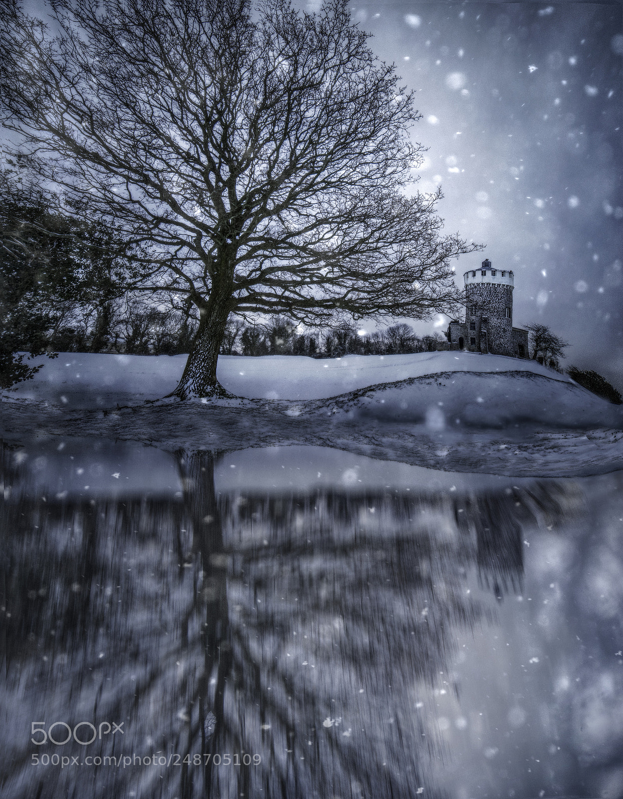 Nikon D610 sample photo. Winter dream photography
