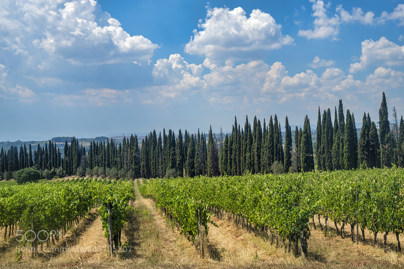 Fujifilm X-T2 sample photo. Summer landscape in the photography