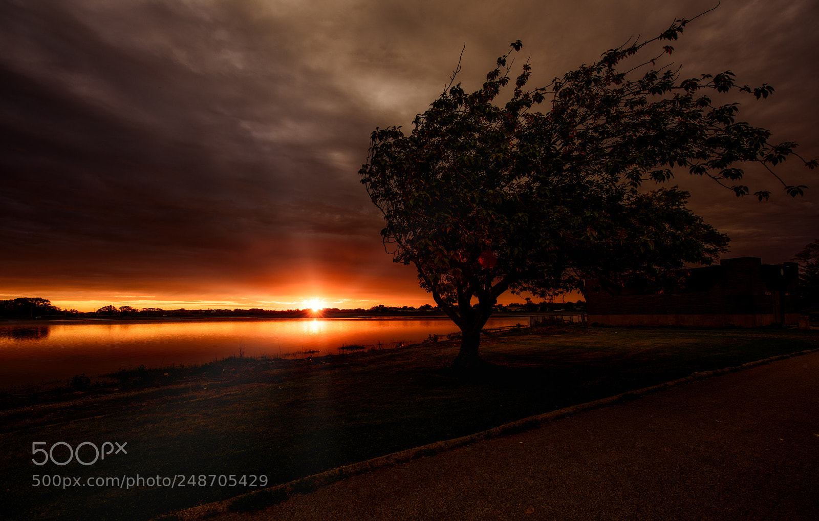 Nikon D810 sample photo. Band of light photography