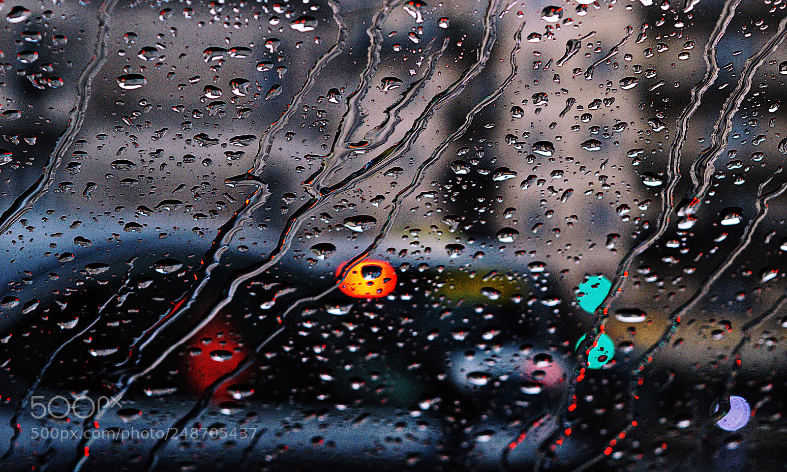 Nikon D3200 sample photo. Raindrops photography