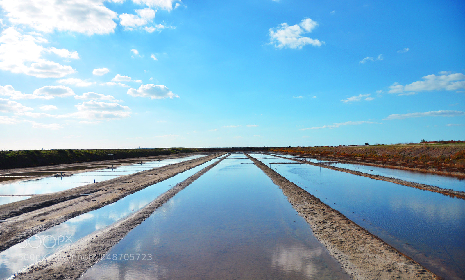 Nikon D5000 sample photo. Unlimited reflection photography