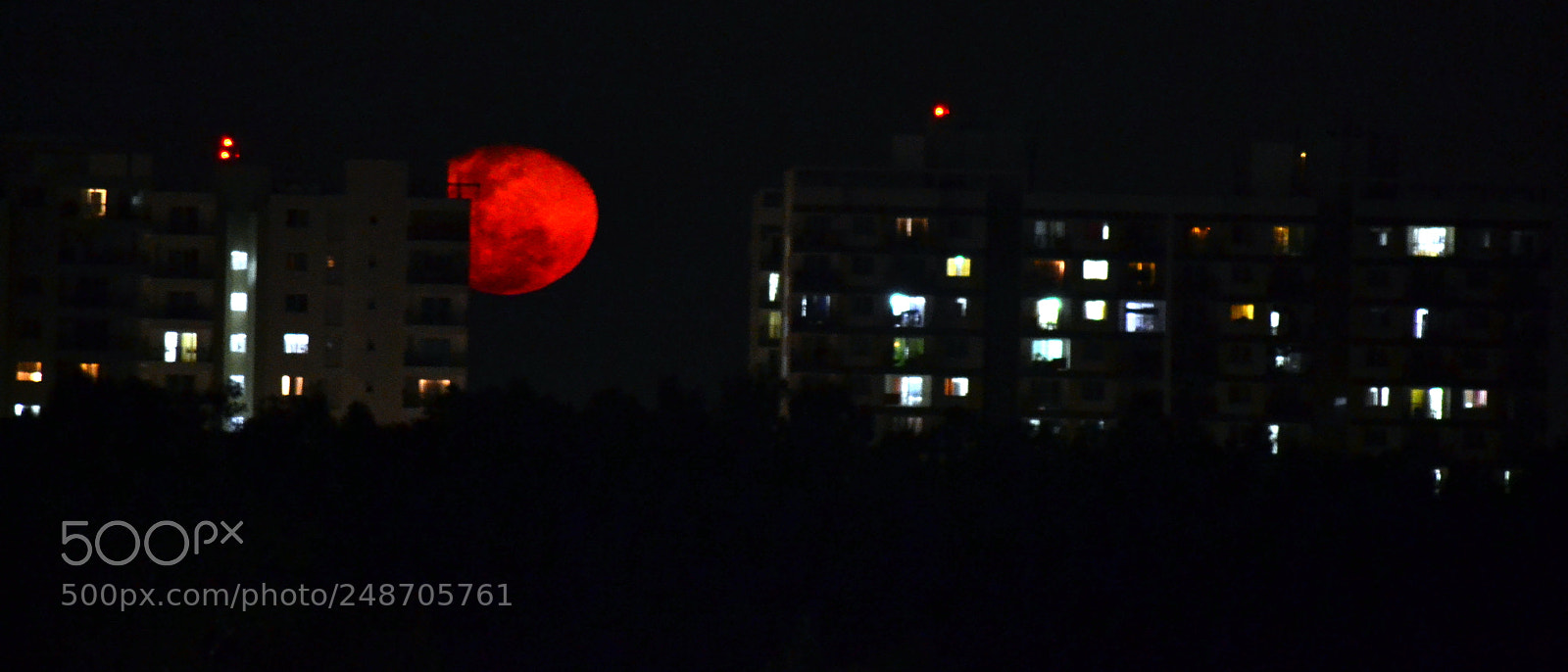 Nikon D3100 sample photo. Divine ball photography