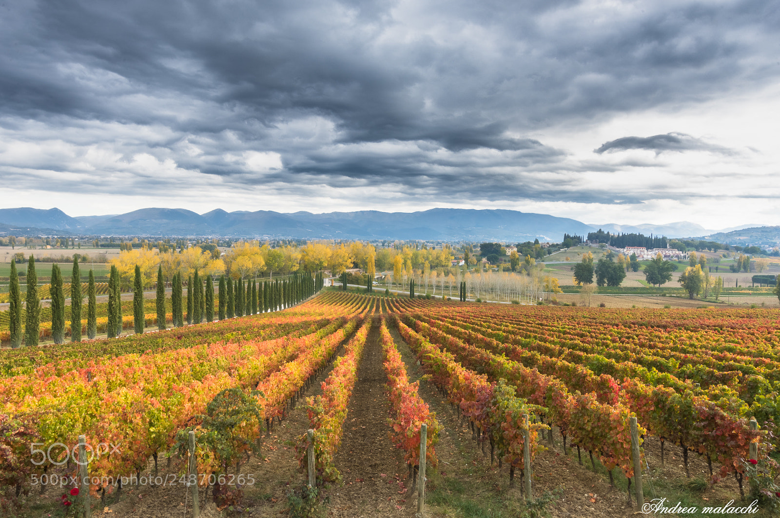 Nikon D7200 sample photo. Autumn italy photography