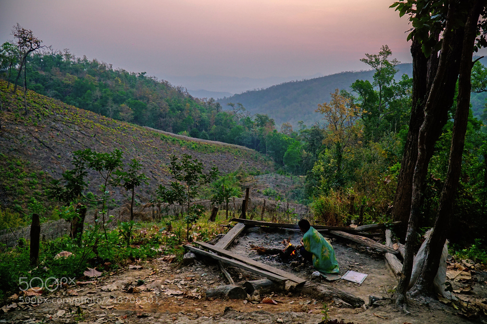 Sony a6000 sample photo. Sunrise in the jungle photography