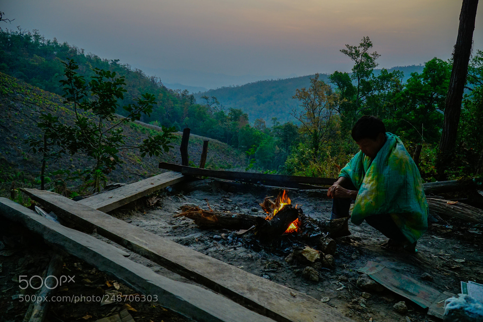Sony a6000 sample photo. Sunrise in the jungle photography