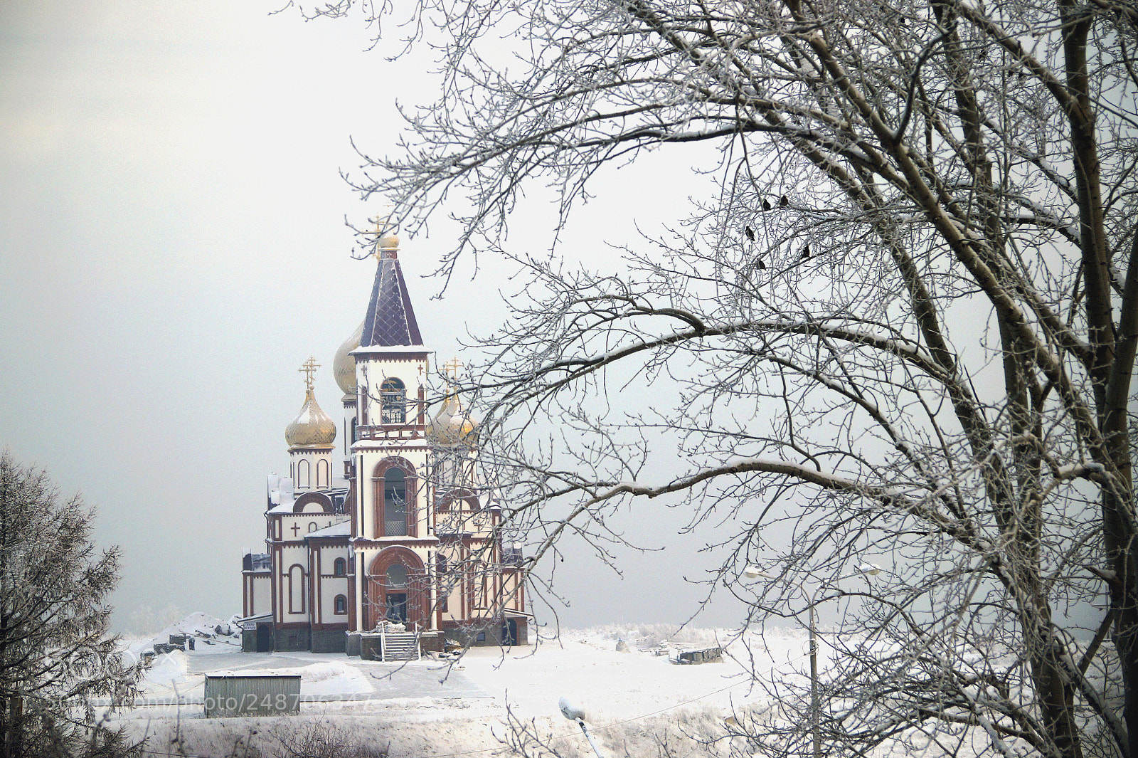 Sony SLT-A58 sample photo. морозное утро photography