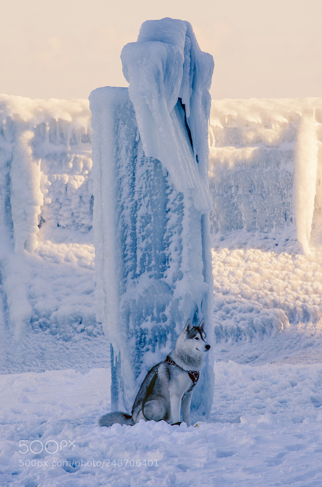 Nikon D5100 sample photo. In the frozen world photography