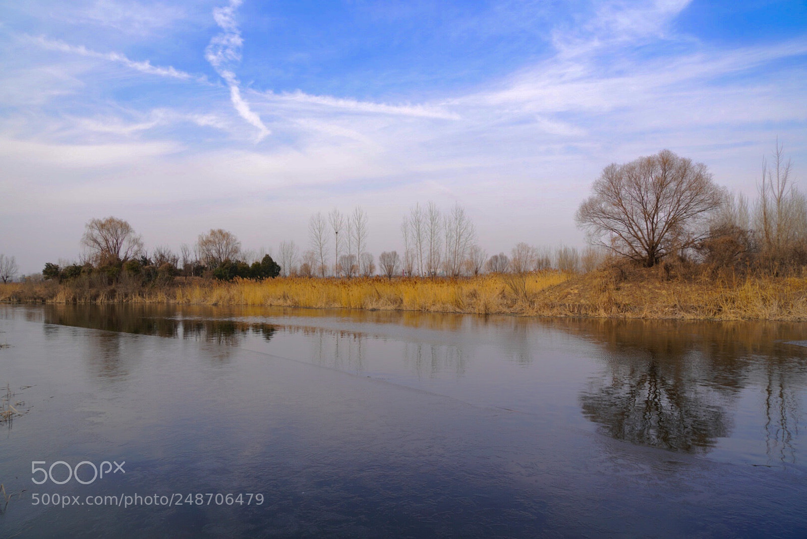 Sony a7R III sample photo. 湿地 photography