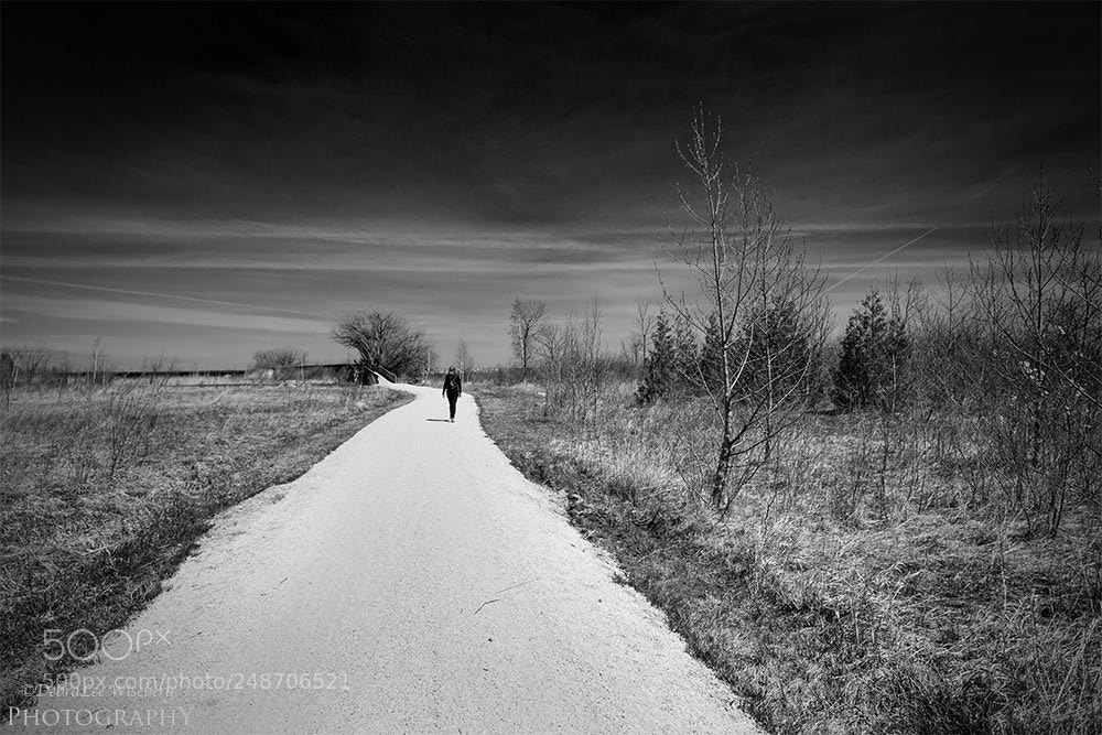 Nikon D800 sample photo. Country path photography